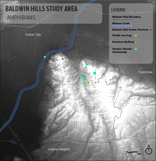new_native_shrubland_map-01