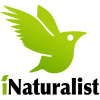 iNaturalist Logo