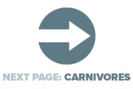 Next Page Carnivores