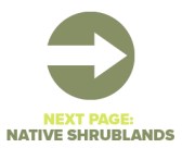 Next Page Native Shrublands
