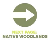 Next Page Native Woodlands
