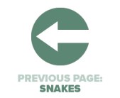 Previous Page Snakes
